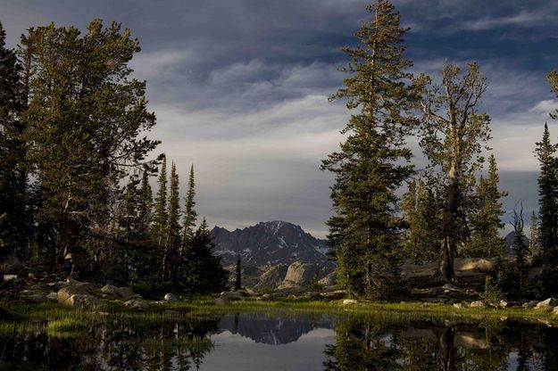 Photographers Point Pond. Photo by Dave Bell.