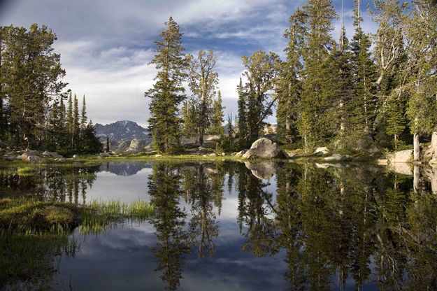 Reflection Pond. Photo by Dave Bell.