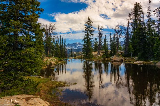 Wonderful View. Photo by Dave Bell.