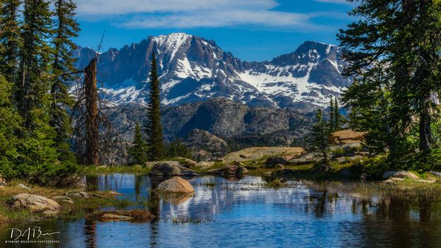 Reflecting Pond. Photo by Dave Bell.