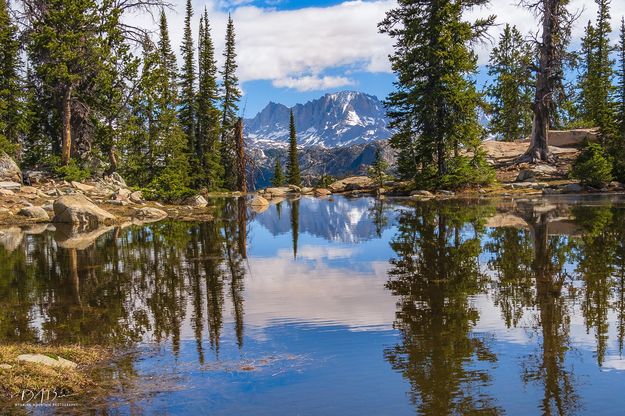 Reflecting Pond. Photo by Dave Bell.