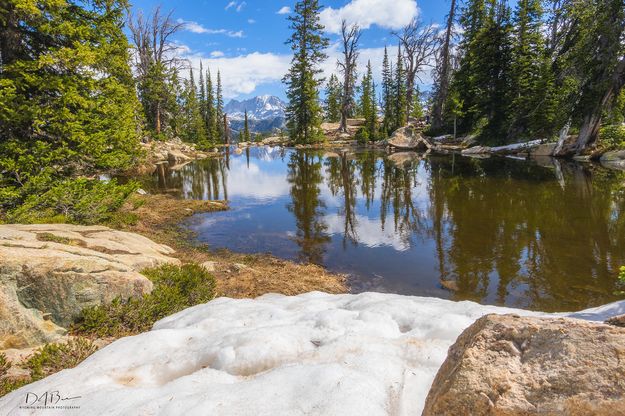 Remaining Snow. Photo by Dave Bell.