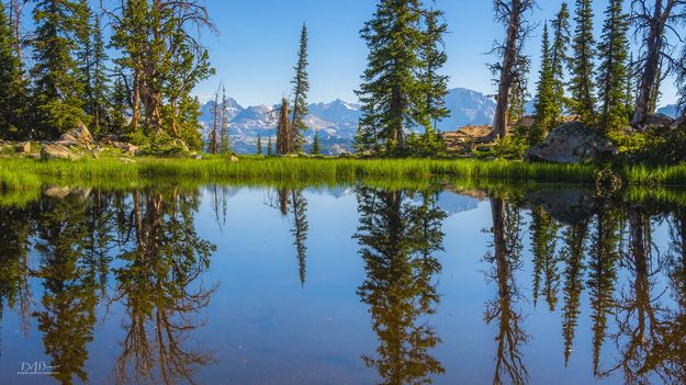 Reflecting Pond. Photo by Dave Bell.