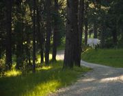 Winding Road. Photo by Dave Bell.