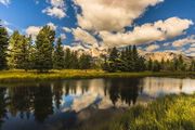 July Summer Morning At Schwabachers Landing. Photo by Dave Bell.