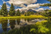 Teton Beauty At Schwabachers. Photo by Dave Bell.