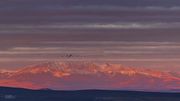 Migrating Geese Flying In Front Of Triple Peak. Photo by Dave Bell.