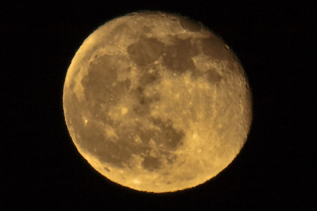 December Full Moon. Photo by Dave Bell.