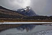 Snowshower On White Rock. Photo by Dave Bell.