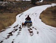 Training--Pulling The Four-Wheeler. Photo by Dave Bell.