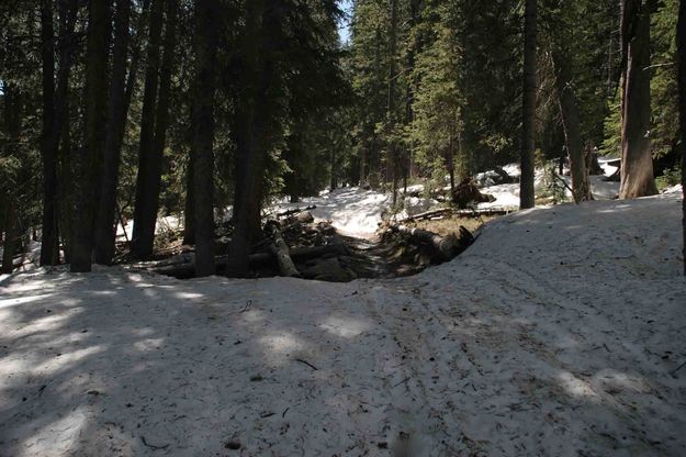 End Of Snow Clogged Trail--Elkhart Park--June 19, 2005. Photo by Dave Bell.