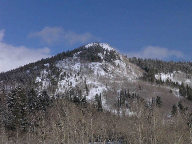 Fortification Mountain--Home To White Pine. Photo by Dave Bell.