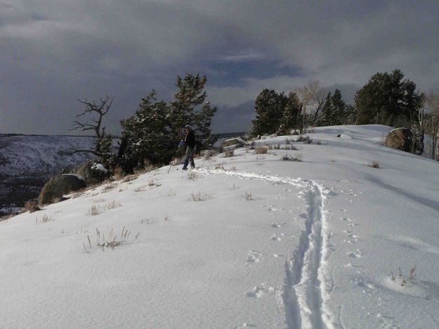 On The Ridge--Looking North. Photo by Dave Bell.