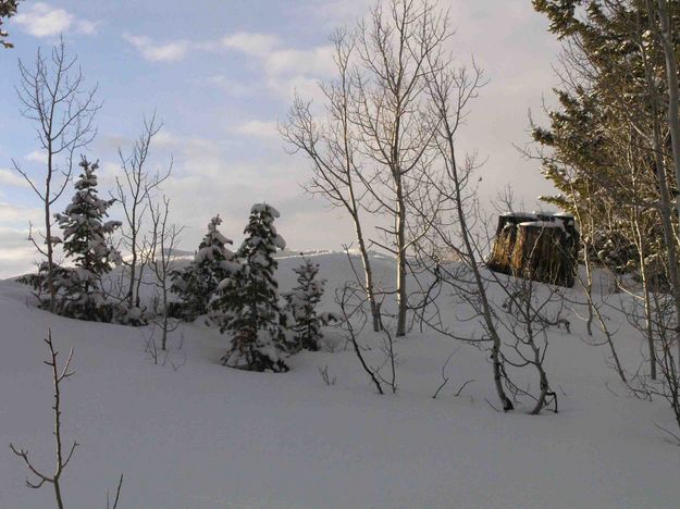 Snowy Ridgeline. Photo by Dave Bell.