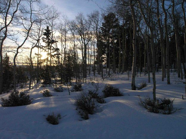 Sunset Shadows. Photo by Dave Bell.