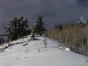 Storm Clouds And Bent Trees. Photo by Dave Bell.