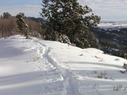 On The Ridge--Looking South. Photo by Dave Bell.