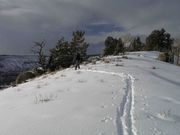 On The Ridge--Looking North. Photo by Dave Bell.