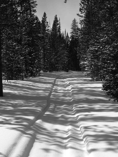 Snowy Trail, Picture By Donovan Bell. Photo by Dave Bell.