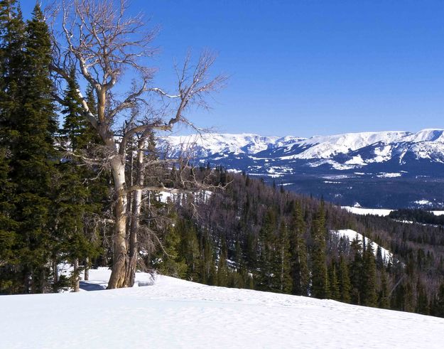 Ridge With A View. Photo by Dave Bell.