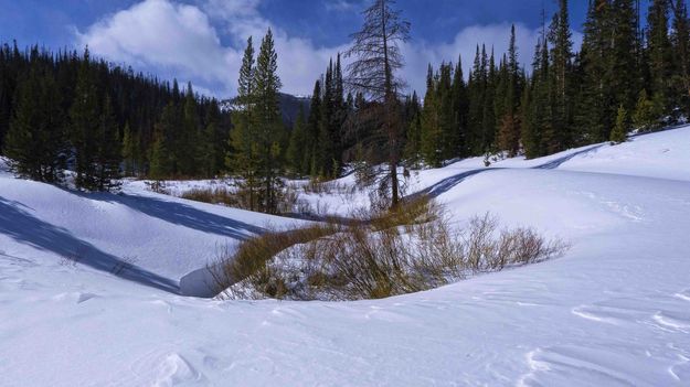 Snowy Gully. Photo by Dave Bell.