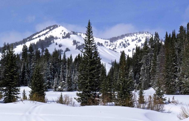 Wyoming Range Winter Scene. Photo by Dave Bell.