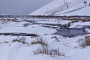 North Piney Creek. Photo by Dave Bell.