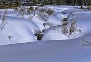 Open Creeks. Photo by Dave Bell.