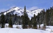 Wyoming Range Winter Scene. Photo by Dave Bell.