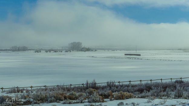 Foggy Morning. Photo by Dave Bell.