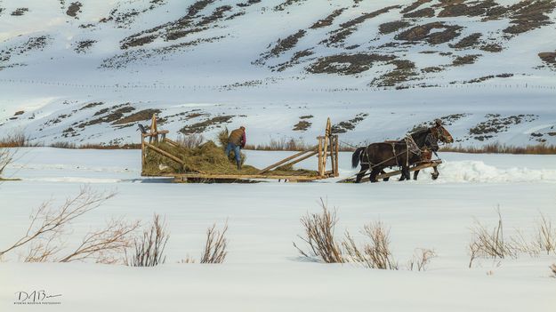 Finishing Up Unloading. Photo by Dave Bell.