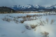 Kilgore Creek. Photo by Dave Bell.