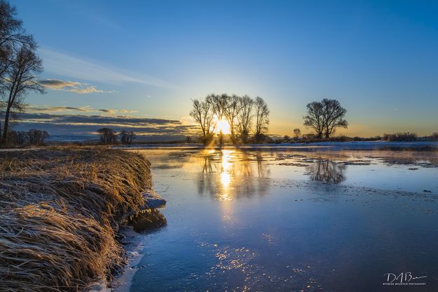 Morning Water. Photo by Dave Bell.