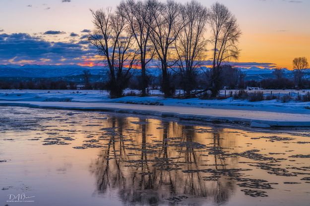 Some Color. Photo by Dave Bell.