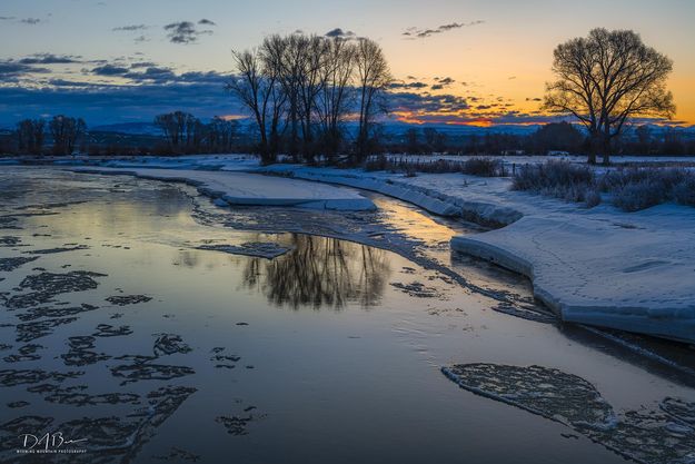 Absolute Beauty. Photo by Dave Bell.