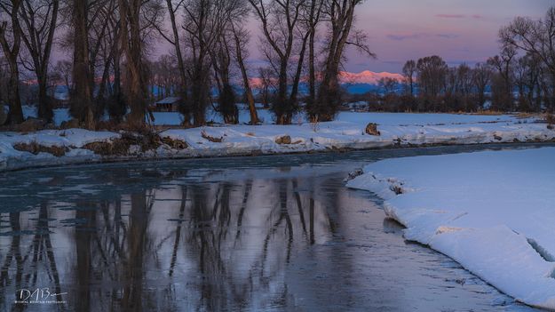 Wyoming Range Pink. Photo by Dave Bell.