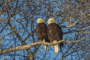 In A Relationship. Photo by Dave Bell.