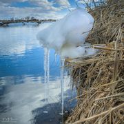 Winter Remains. Photo by Dave Bell.