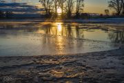 Reflections. Photo by Dave Bell.