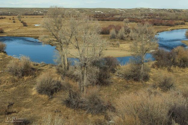 Meandering New Fork River. Photo by Dave Bell.