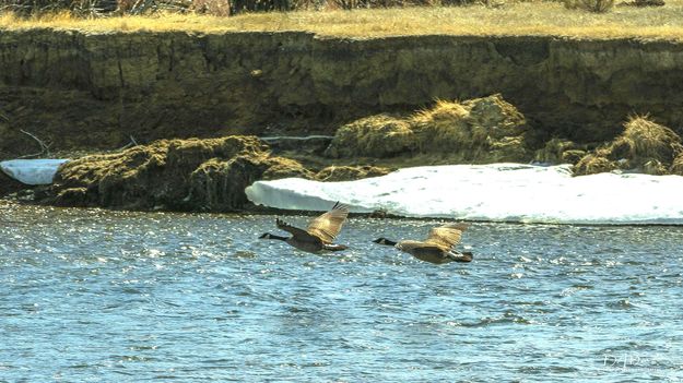 River Speeders. Photo by Dave Bell.