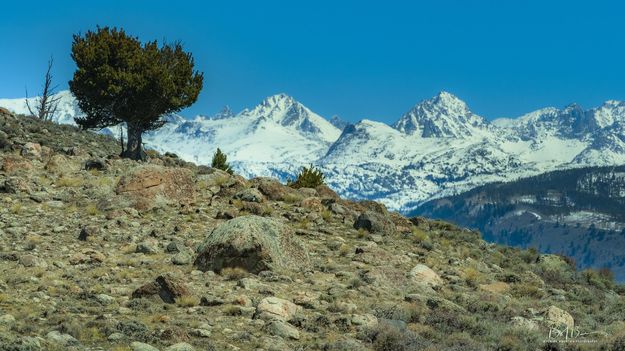 Rocky Moraine. Photo by Dave Bell.