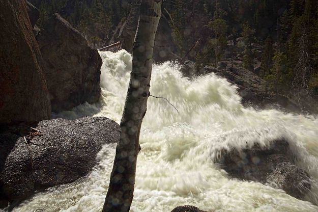 Raging Water. Photo by Dave Bell.