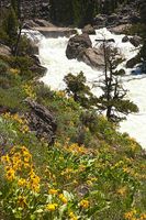 Upper Falls. Photo by Dave Bell.