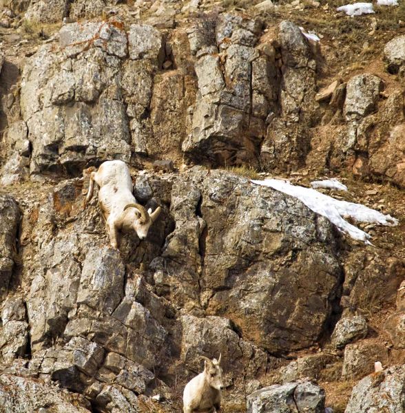 Going Down. Photo by Dave Bell.