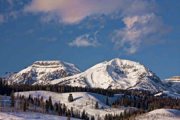 The Georgeous Gros Ventre. Photo by Dave Bell.