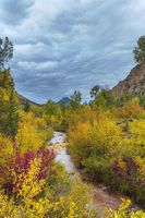 Spectacular Fall Colors. Photo by Dave Bell.