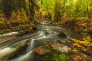 Fall Water. Photo by Dave Bell.