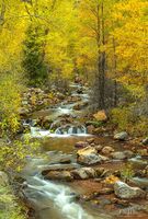 Fall Beauty. Photo by Dave Bell.