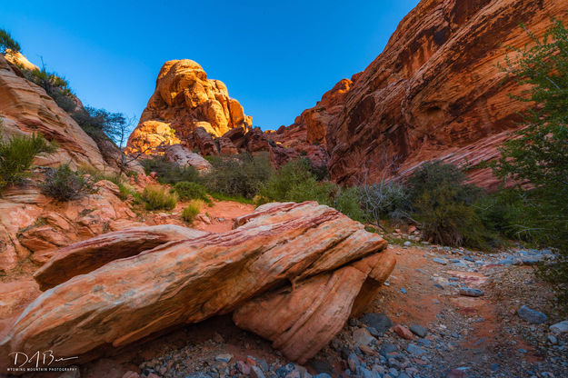 Canyon. Photo by Dave Bell.